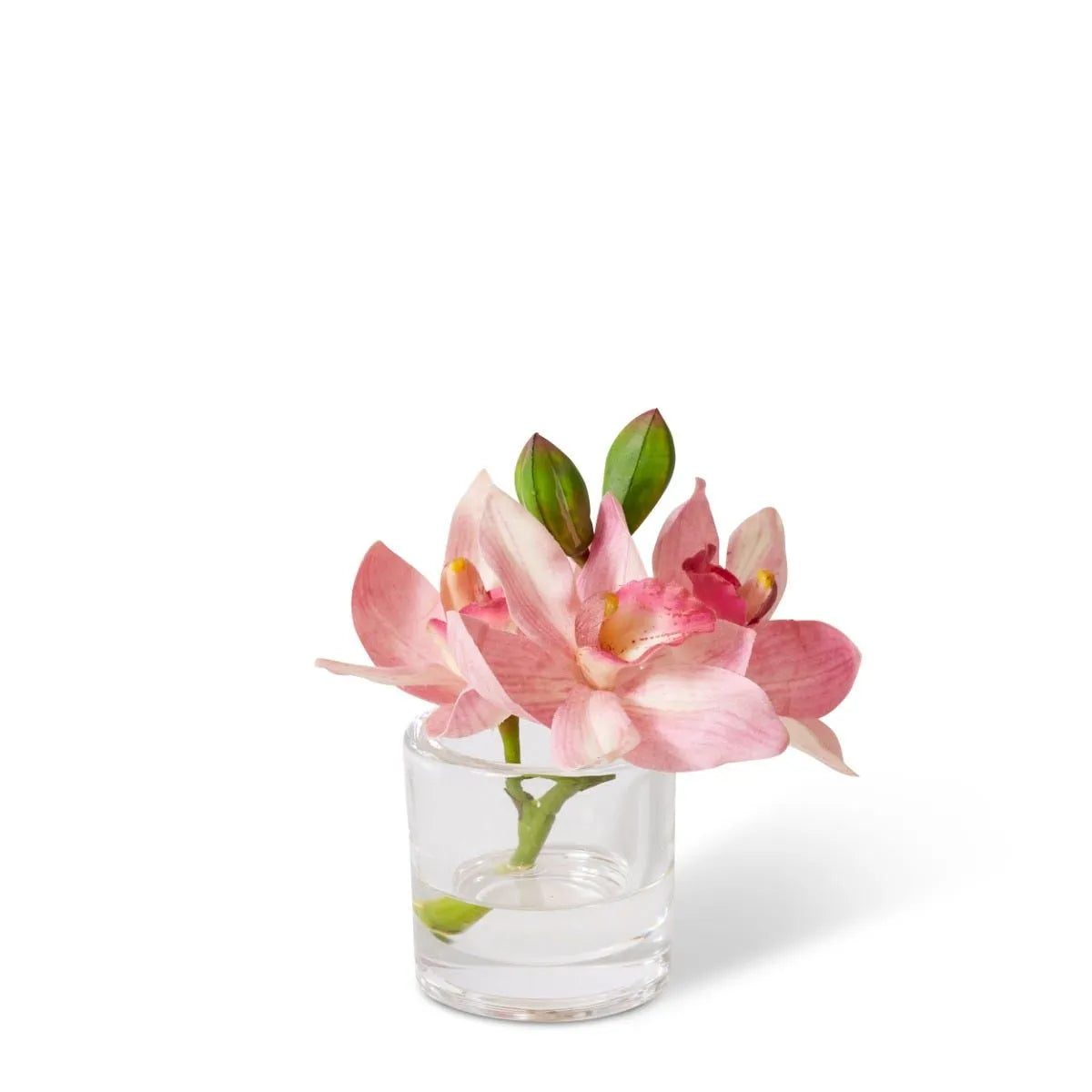 Experience elegance and exotic beauty with this pink Cymbidium Orchid in a vase. Its exotic look and stylish pot make it the perfect addition to any living space. Boost your interior decor with this gorgeous flower.