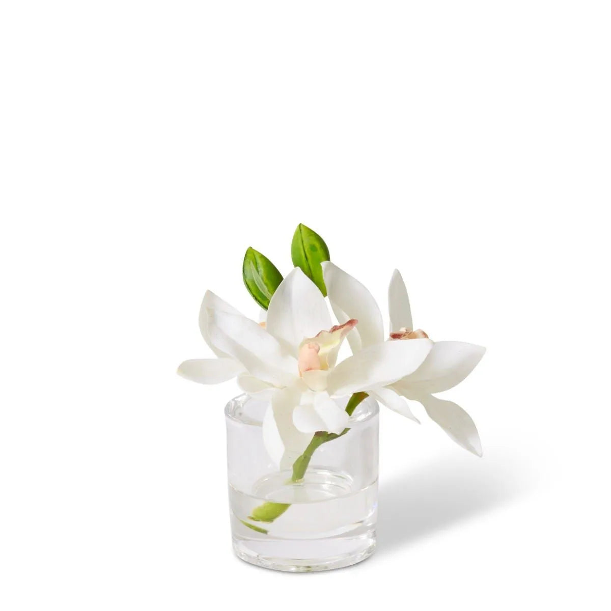 Experience elegance and exotic beauty with this white Cymbidium Orchid in a vase. Its exotic look and stylish pot make it the perfect addition to any living space. Boost your interior decor with this gorgeous flower.