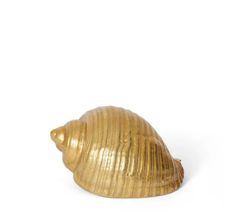 The Moon Snail Shell Sculpture provides a stunning accent to your home. The 22cm x 16cm sculpture is expertly crafted and adds a unique and beautiful touch to any interior décor. Enhance your home décor with this exquisite piece of art.