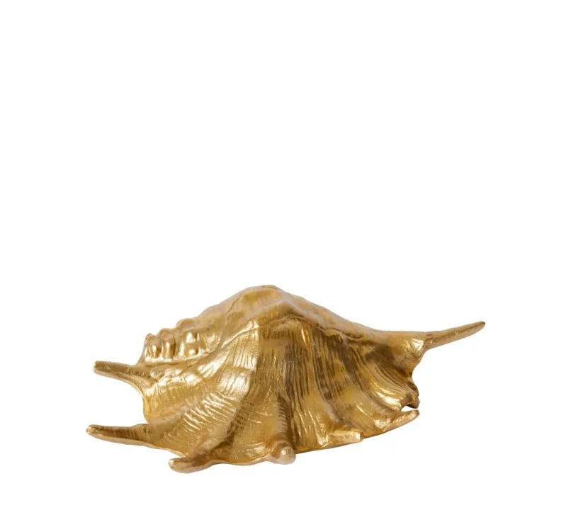 Enhance any home with this beautiful 33cm x 19cm Murex Shell Sculpture. The sculptured design adds a unique touch to any room, making it a stunning addition to any interior décor.
