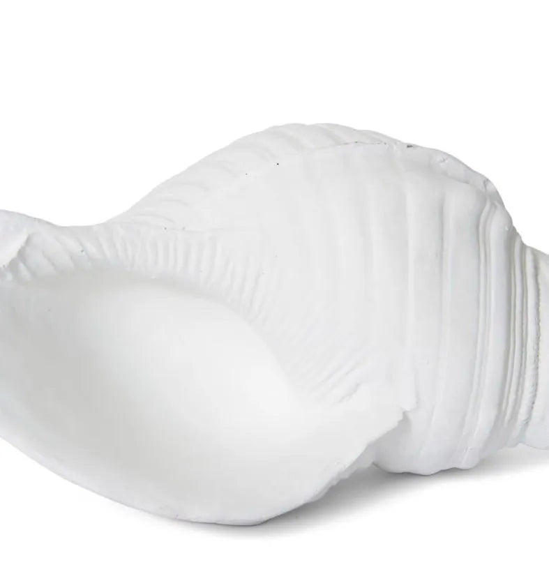 Shell Emprium Shell Sculpture – Linen Emporium